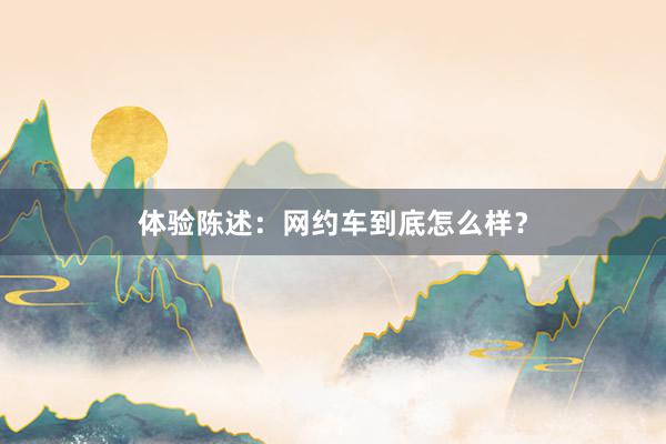 体验陈述：网约车到底怎么样？