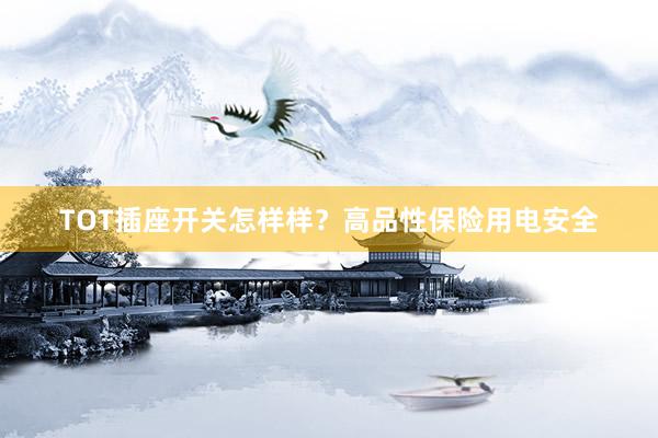 TOT插座开关怎样样？高品性保险用电安全