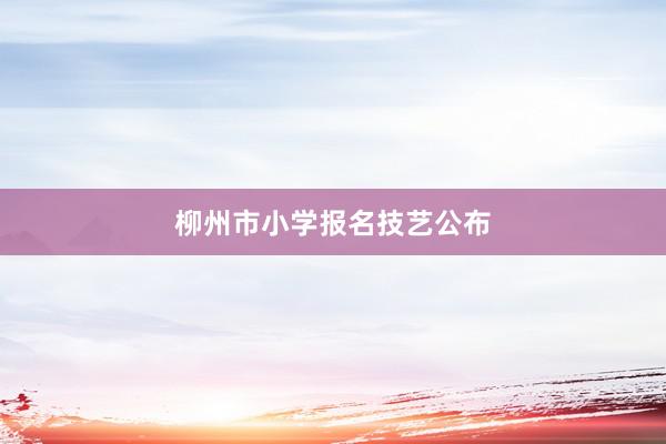 柳州市小学报名技艺公布