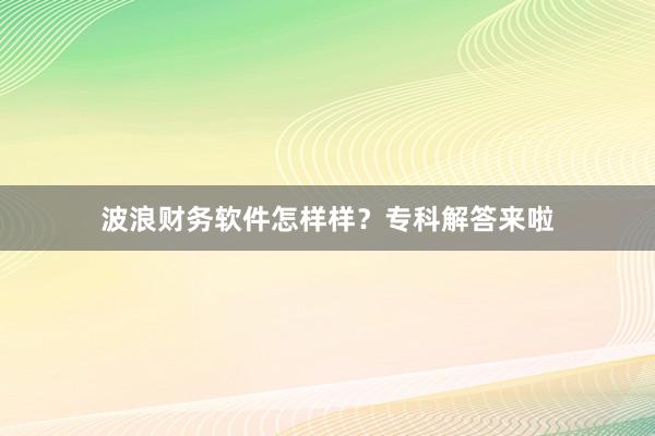 波浪财务软件怎样样？专科解答来啦