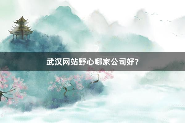 武汉网站野心哪家公司好？